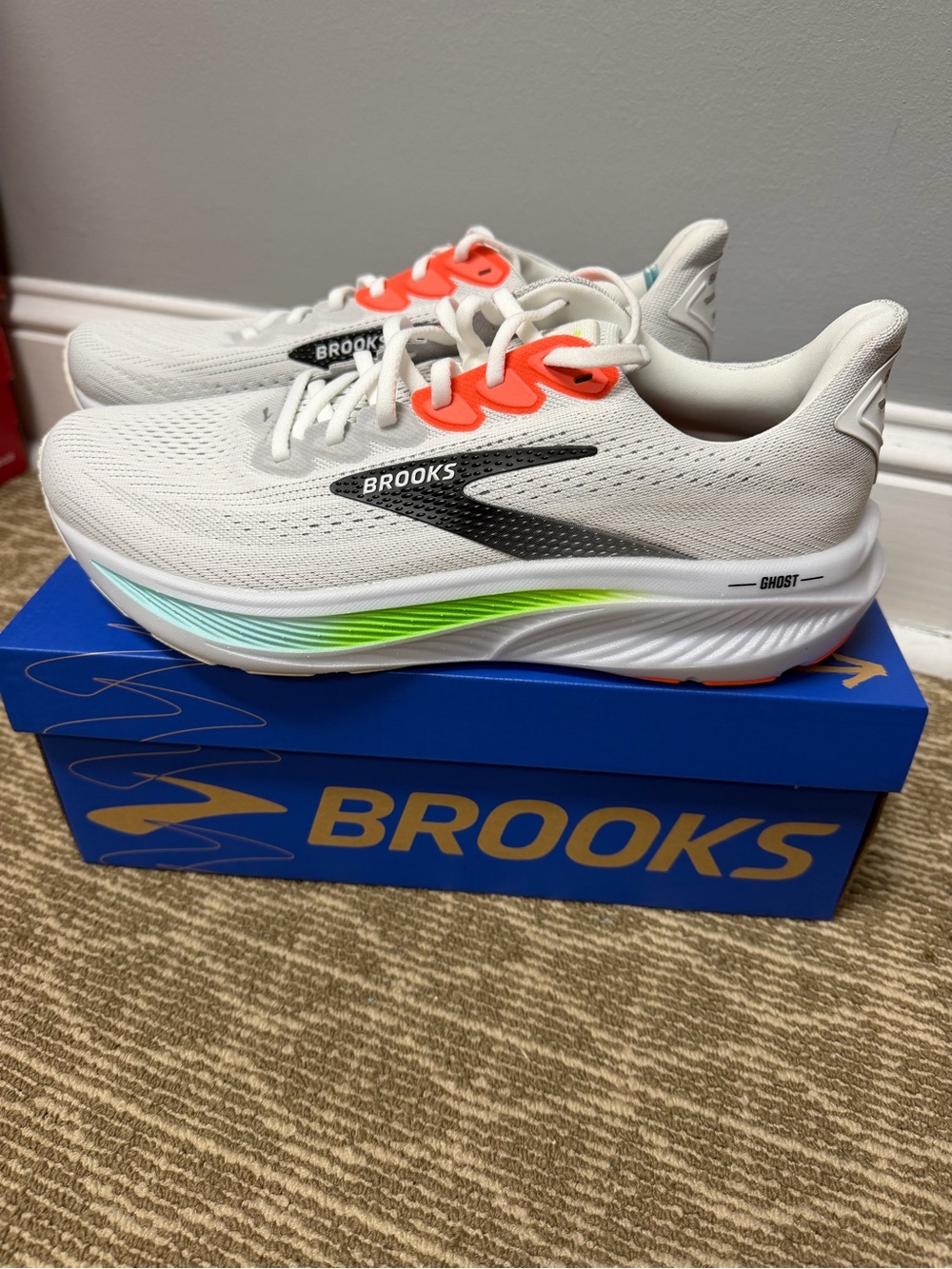 Mens Brooks Ghost 17